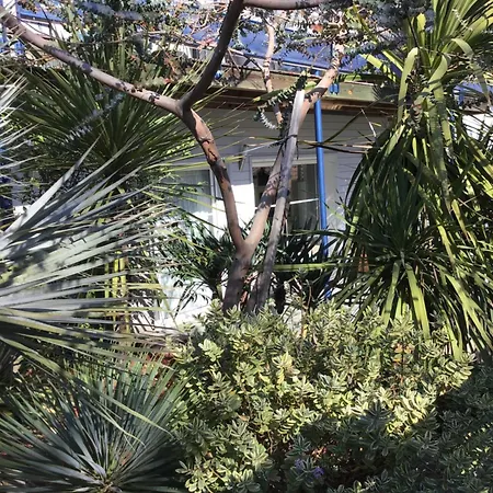 Apartment Agreable A 1km Du Centre De *