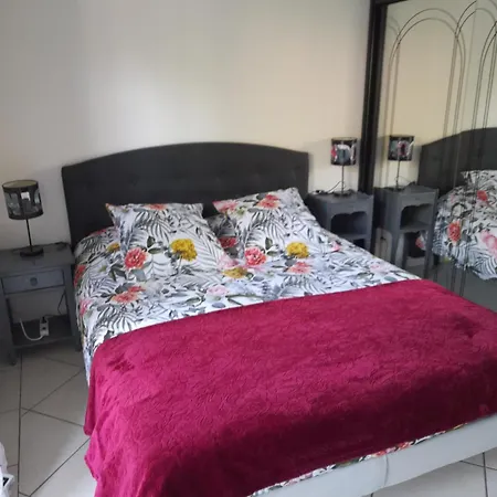 Apartment Agreable A 1km Du Centre De La Teste-de-Buch