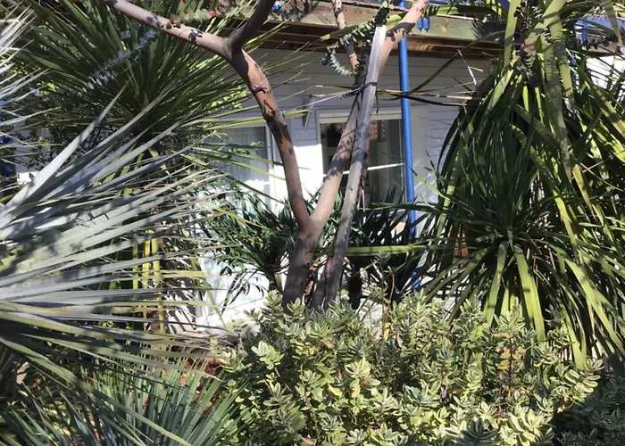 Appartamento à 1km Du Centre De *